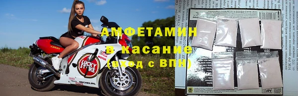 apvp Белокуриха